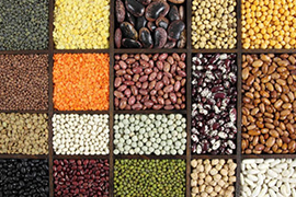 Indian Grains