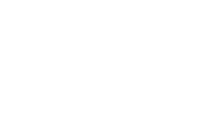 birsa agro india logo dark